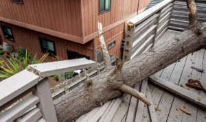 Essential steps for a swift recovery from storm damage