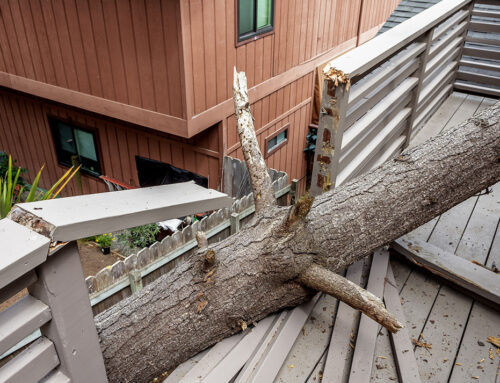 Essential steps for a swift recovery from storm damage