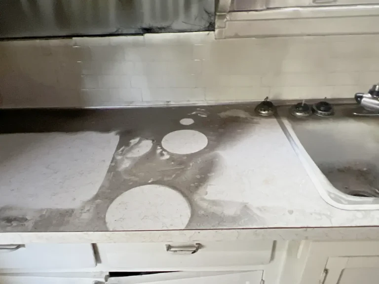 Fire damage 3